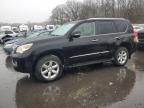 2010 Lexus GX 460 Premium