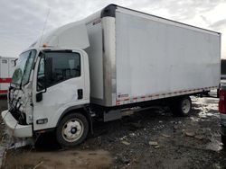 Salvage trucks for sale at Columbia Station, OH auction: 2024 Isuzu NPR HD