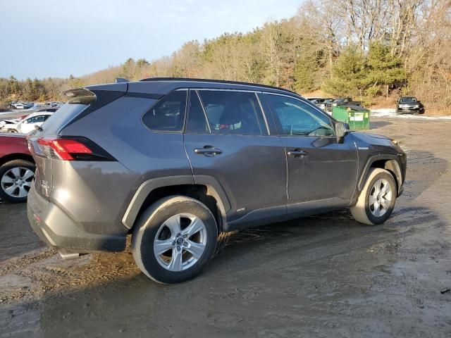 2019 Toyota Rav4 XLE