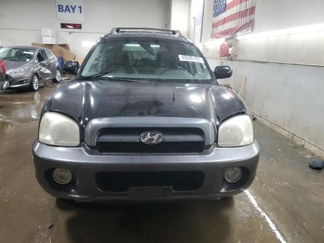 2005 Hyundai Santa FE GLS