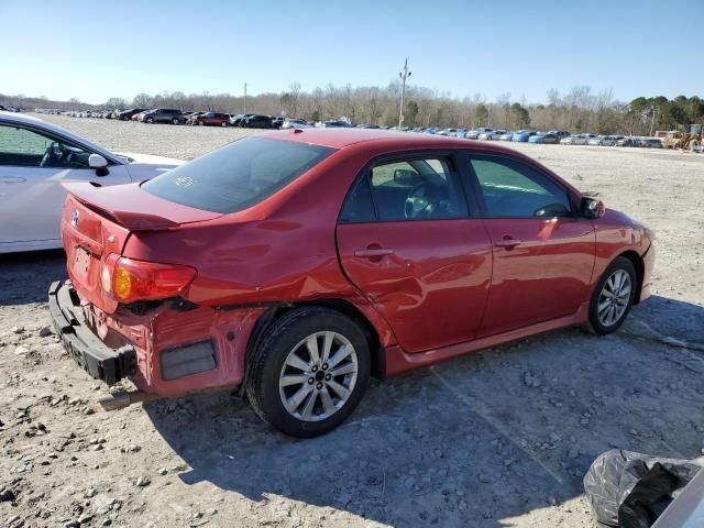 2010 Toyota Corolla Base