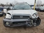 2004 Hyundai Santa FE GLS