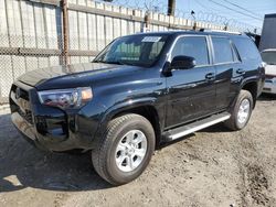 Toyota 4runner Vehiculos salvage en venta: 2024 Toyota 4runner SR5/SR5 Premium