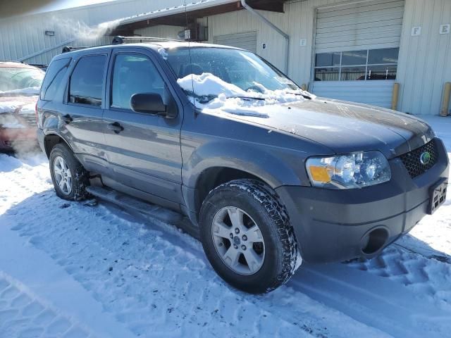 2006 Ford Escape XLT