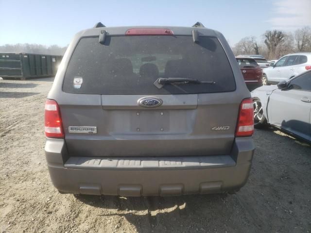 2009 Ford Escape XLT