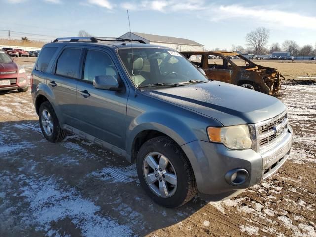 2011 Ford Escape Limited