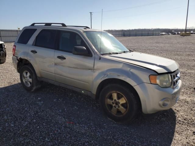 2009 Ford Escape XLT