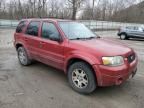 2005 Ford Escape Limited