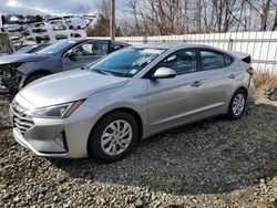 Hyundai Elantra salvage cars for sale: 2020 Hyundai Elantra SE