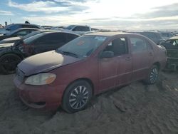 Toyota Vehiculos salvage en venta: 2005 Toyota Corolla CE