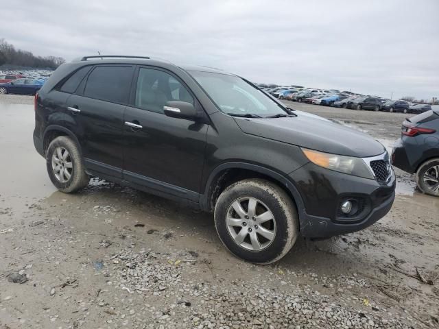 2011 KIA Sorento Base