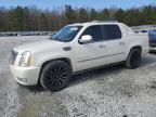 2010 Cadillac Escalade EXT Luxury