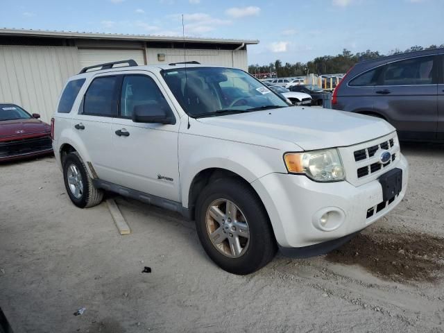 2009 Ford Escape Hybrid