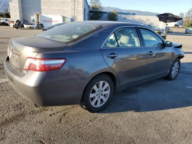 2009 Toyota Camry Hybrid