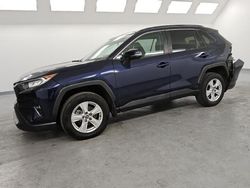 Salvage cars for sale at Van Nuys, CA auction: 2020 Toyota Rav4 XLE