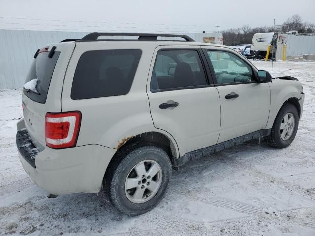 2009 Ford Escape XLT