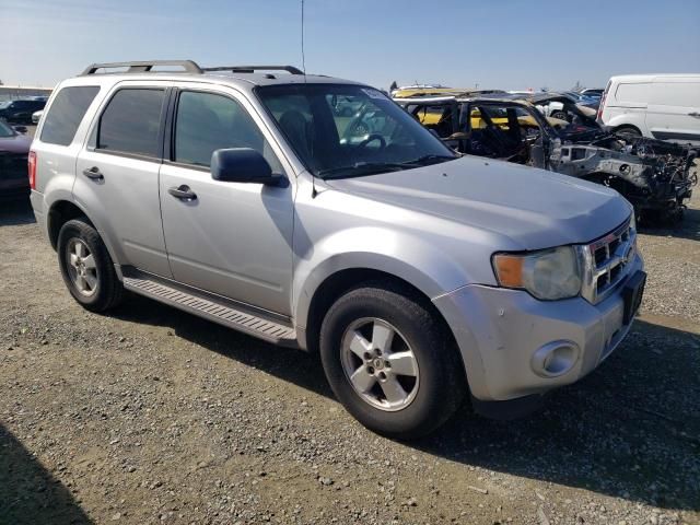 2009 Ford Escape XLT