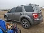 2009 Ford Escape Limited