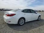 2013 Lexus ES 300H