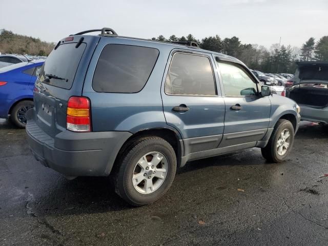 2006 Ford Escape XLT