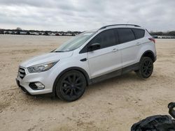 Ford Escape se salvage cars for sale: 2019 Ford Escape SE