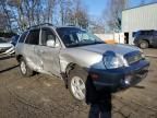 2003 Hyundai Santa FE GLS