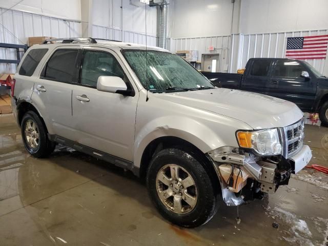 2011 Ford Escape Limited