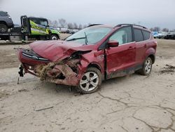 Salvage cars for sale at Pekin, IL auction: 2016 Ford Escape SE