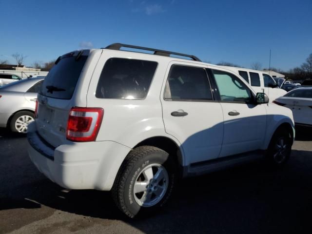 2010 Ford Escape XLT