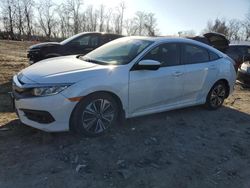 Salvage cars for sale at Baltimore, MD auction: 2018 Honda Civic EXL