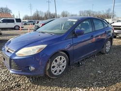 Salvage cars for sale at Columbus, OH auction: 2012 Ford Focus SE