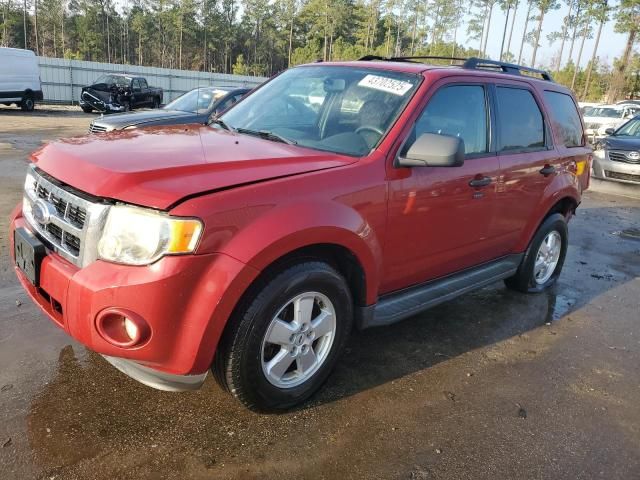 2009 Ford Escape XLT