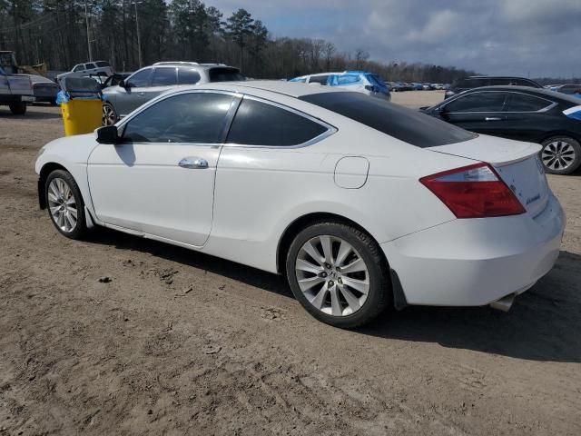 2009 Honda Accord EXL