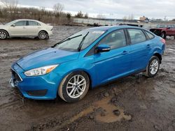 Salvage cars for sale at Columbia Station, OH auction: 2016 Ford Focus SE