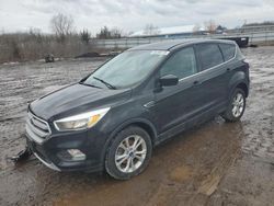 Salvage cars for sale at Columbia Station, OH auction: 2017 Ford Escape SE