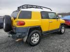 2007 Toyota FJ Cruiser