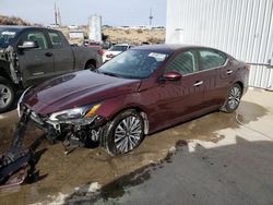 2023 Nissan Altima SV en venta en Reno, NV