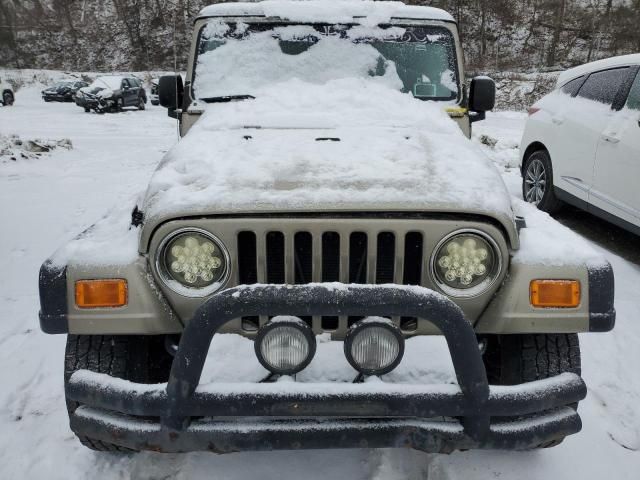 2004 Jeep Wrangler / TJ Rubicon