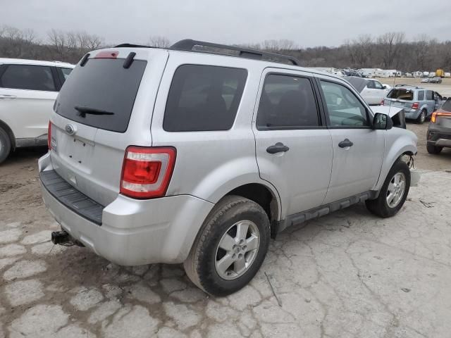 2011 Ford Escape XLT