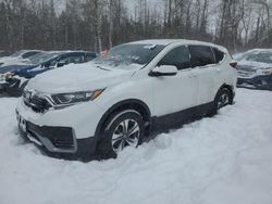 Salvage cars for sale from Copart Cookstown, ON: 2021 Honda CR-V LX