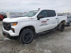 Run And Drives Cars for sale at auction: 2023 Chevrolet Silverado K1500 Trail Boss Custom