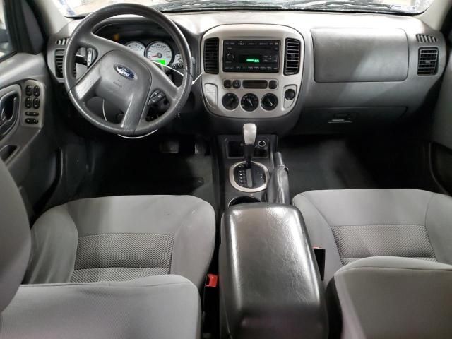 2007 Ford Escape XLT