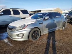 Salvage cars for sale at Brighton, CO auction: 2014 KIA Optima Hybrid