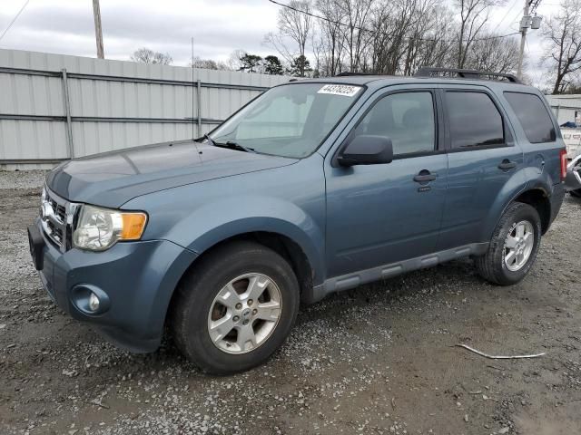 2010 Ford Escape XLT