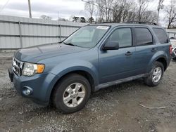 Salvage cars for sale at Gastonia, NC auction: 2010 Ford Escape XLT