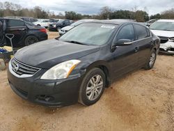 Salvage cars for sale at Theodore, AL auction: 2011 Nissan Altima Base