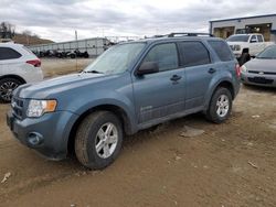 Clean Title Cars for sale at auction: 2011 Ford Escape Hybrid