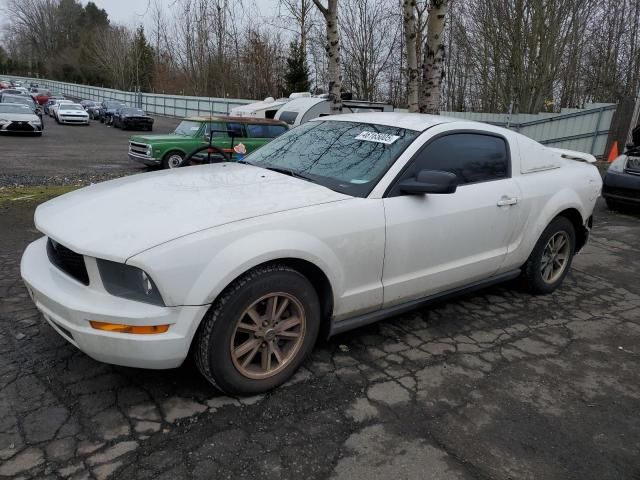 2005 Ford Mustang