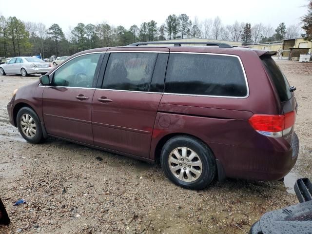 2008 Honda Odyssey EXL