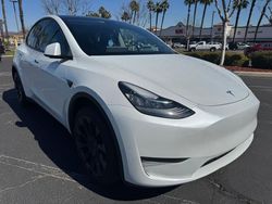 Tesla Vehiculos salvage en venta: 2023 Tesla Model Y